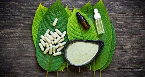 How to Use Kratom: A Comprehensive Guide for Beginners.